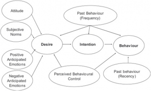 Executive Functions: The Brain’S Role In Goal-Directed Behavior – HARO