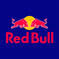 Red Bull Segmentation, Targeting and Positioning