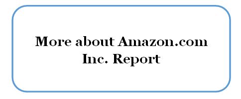 Amazon.com Inc. Report 2022
