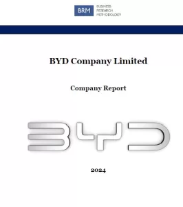BYD Company Report