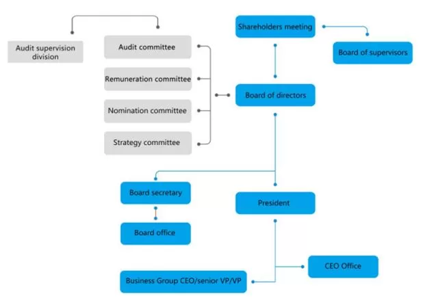 BYD Organizational Structure